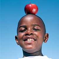 Alimentos para escolas