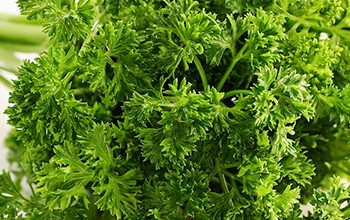 Alimentação saudável nas empresas previne doenças